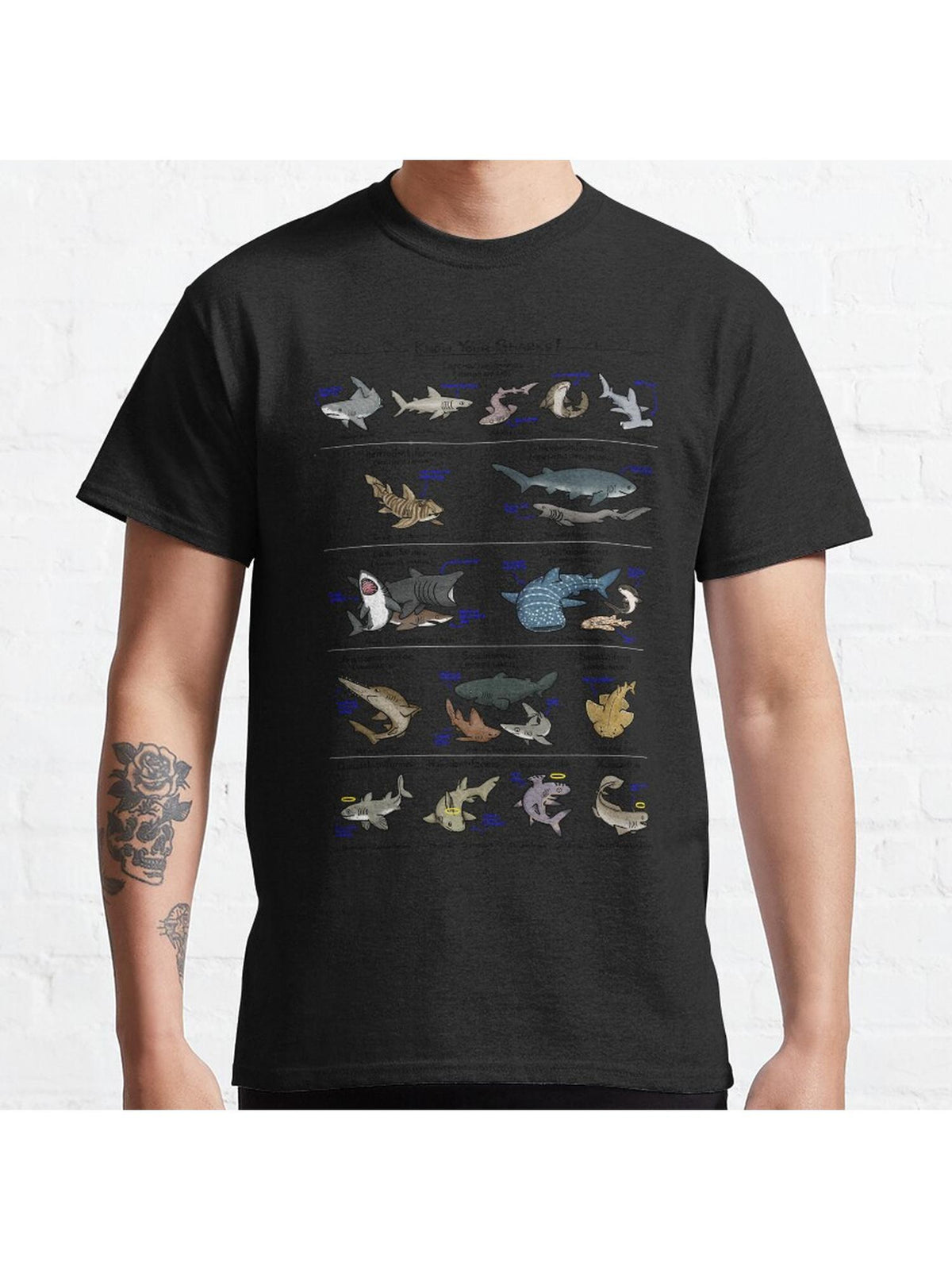 Illustrated Guide to Sharks Classic T-Shirt 100% Cotton, Gifts for Men Dad Husband Grandpa, S-XXXL, Black